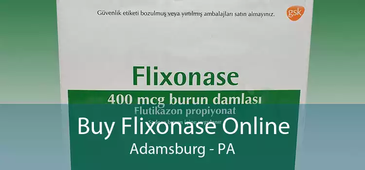 Buy Flixonase Online Adamsburg - PA