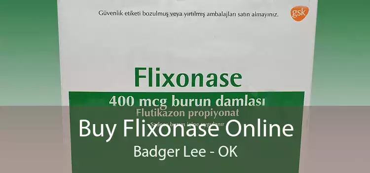 Buy Flixonase Online Badger Lee - OK