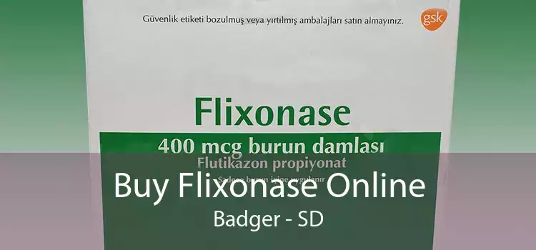 Buy Flixonase Online Badger - SD