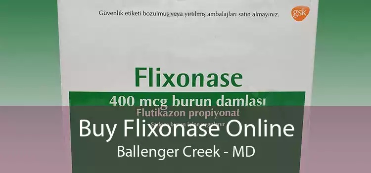 Buy Flixonase Online Ballenger Creek - MD
