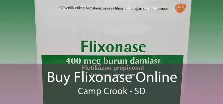 Buy Flixonase Online Camp Crook - SD