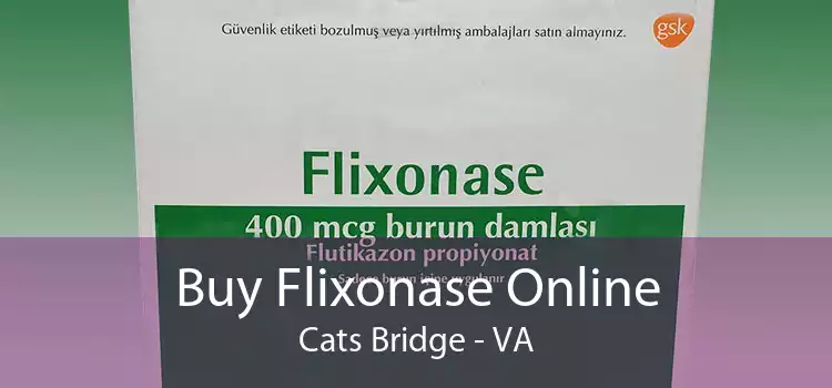 Buy Flixonase Online Cats Bridge - VA