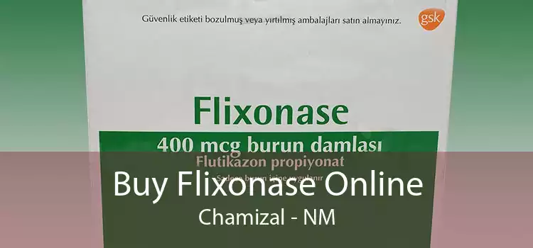 Buy Flixonase Online Chamizal - NM