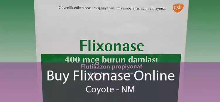 Buy Flixonase Online Coyote - NM